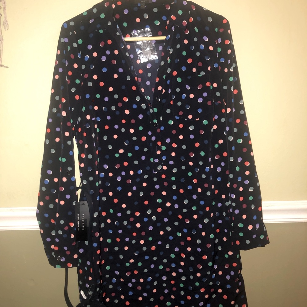 The Limited Ashton dress